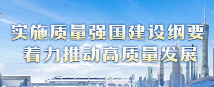 实施质量强国建设纲要 着力推动高质量发展